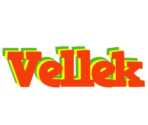 Vellek bbq logo