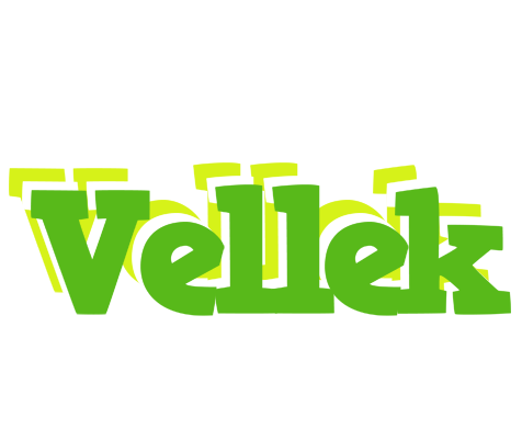 Vellek picnic logo