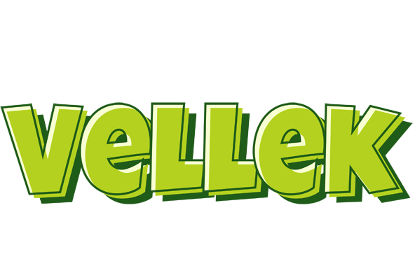 Vellek summer logo