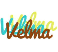 Velma cupcake logo