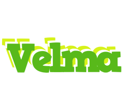 Velma picnic logo