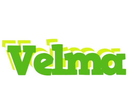 Velma picnic logo