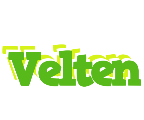 Velten picnic logo
