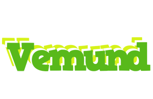 Vemund picnic logo