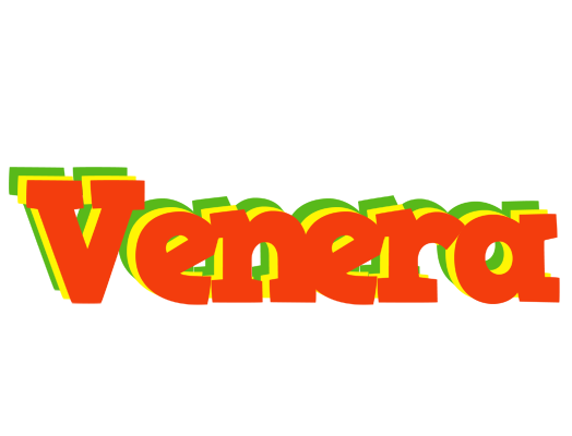Venera bbq logo