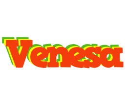 Venesa bbq logo