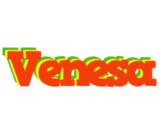 Venesa bbq logo