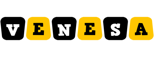Venesa boots logo
