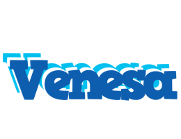 Venesa business logo