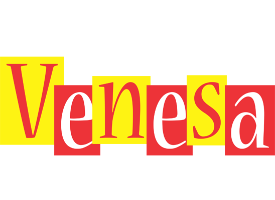Venesa errors logo
