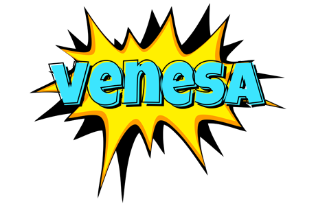 Venesa indycar logo
