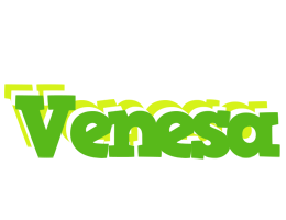 Venesa picnic logo