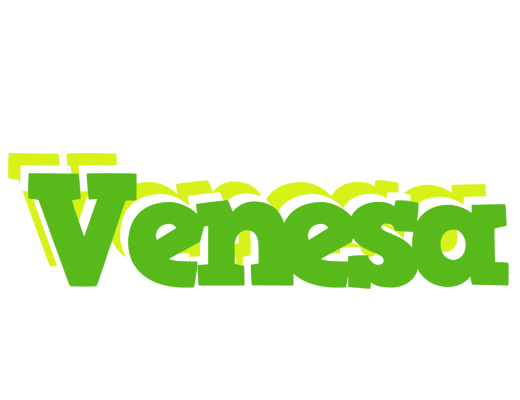 Venesa picnic logo