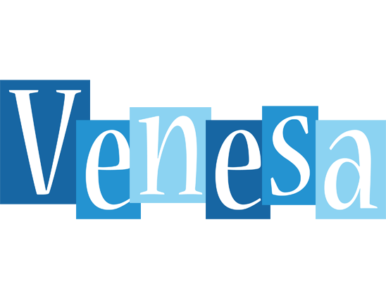 Venesa winter logo
