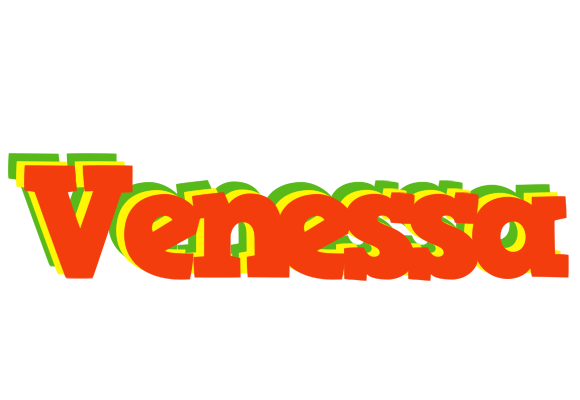Venessa bbq logo