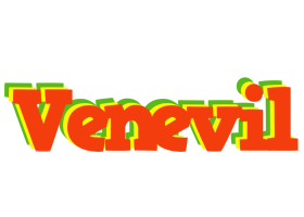 Venevil bbq logo