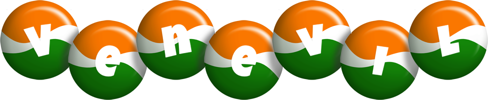 Venevil india logo