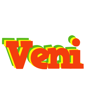 Veni bbq logo