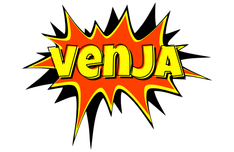 Venja bazinga logo