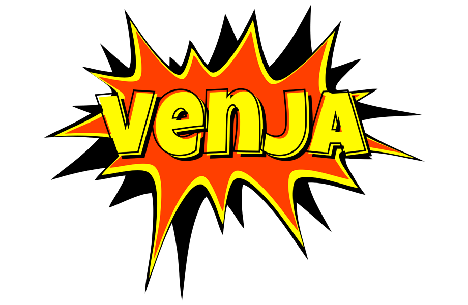 Venja bazinga logo