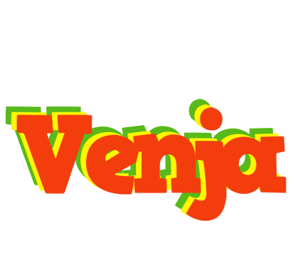 Venja bbq logo