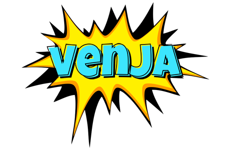 Venja indycar logo