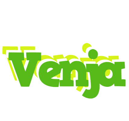 Venja picnic logo