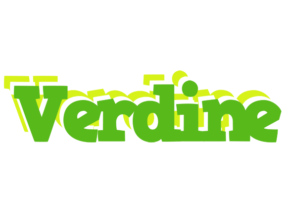 Verdine picnic logo