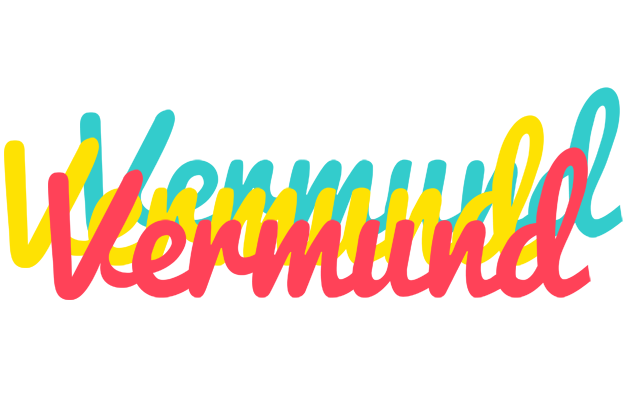 Vermund disco logo