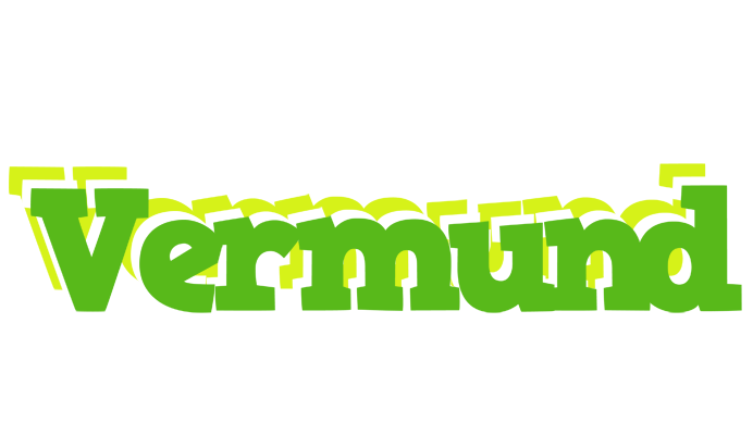 Vermund picnic logo