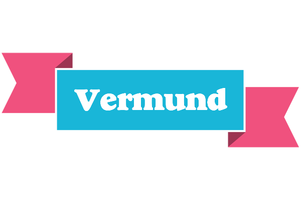 Vermund today logo