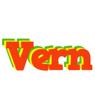 Vern bbq logo