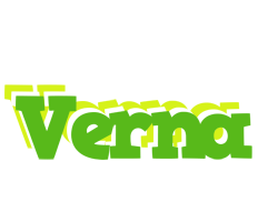 Verna picnic logo