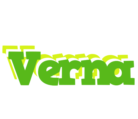 Verna picnic logo