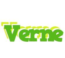 Verne picnic logo