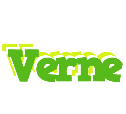 Verne picnic logo