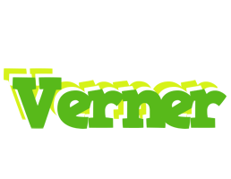 Verner picnic logo