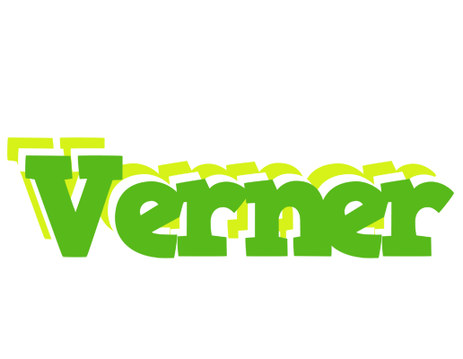 Verner picnic logo