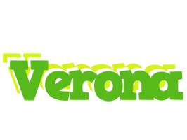 Verona picnic logo