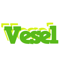 Vesel picnic logo