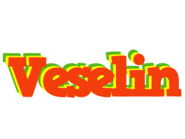 Veselin bbq logo