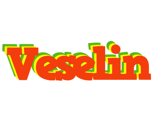 Veselin bbq logo