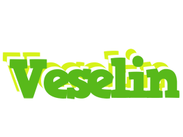 Veselin picnic logo