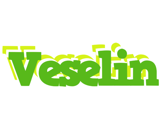 Veselin picnic logo