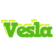 Vesla picnic logo