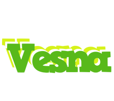 Vesna picnic logo