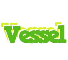 Vessel picnic logo