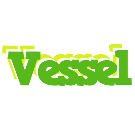 Vessel picnic logo