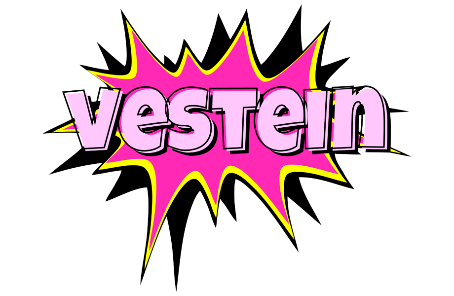 Vestein badabing logo
