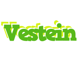 Vestein picnic logo